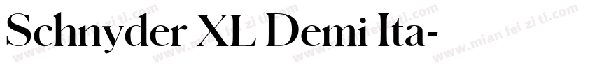 Schnyder XL Demi Ita字体转换